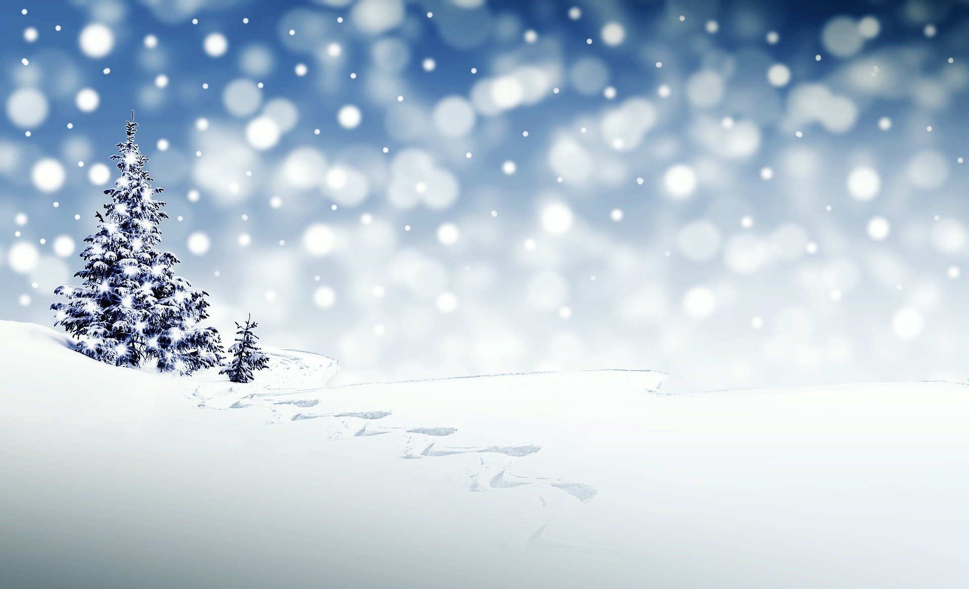 “Winter Song” – A Festive Performance by The Davitt College Singers