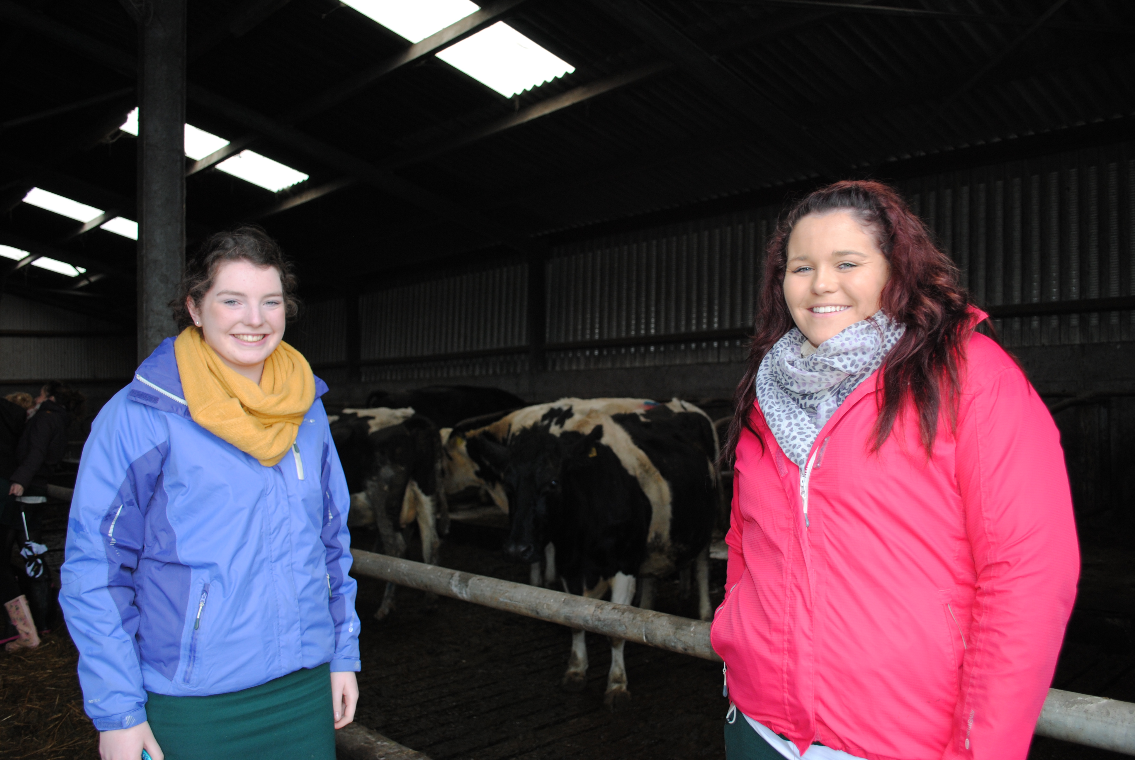 Davitt College students Hannah Mulchrone and Ciara Forkan on a Leaving Certificate Agricultural Science Farm Visit to Barretts Dairy Farm, Breaffy.