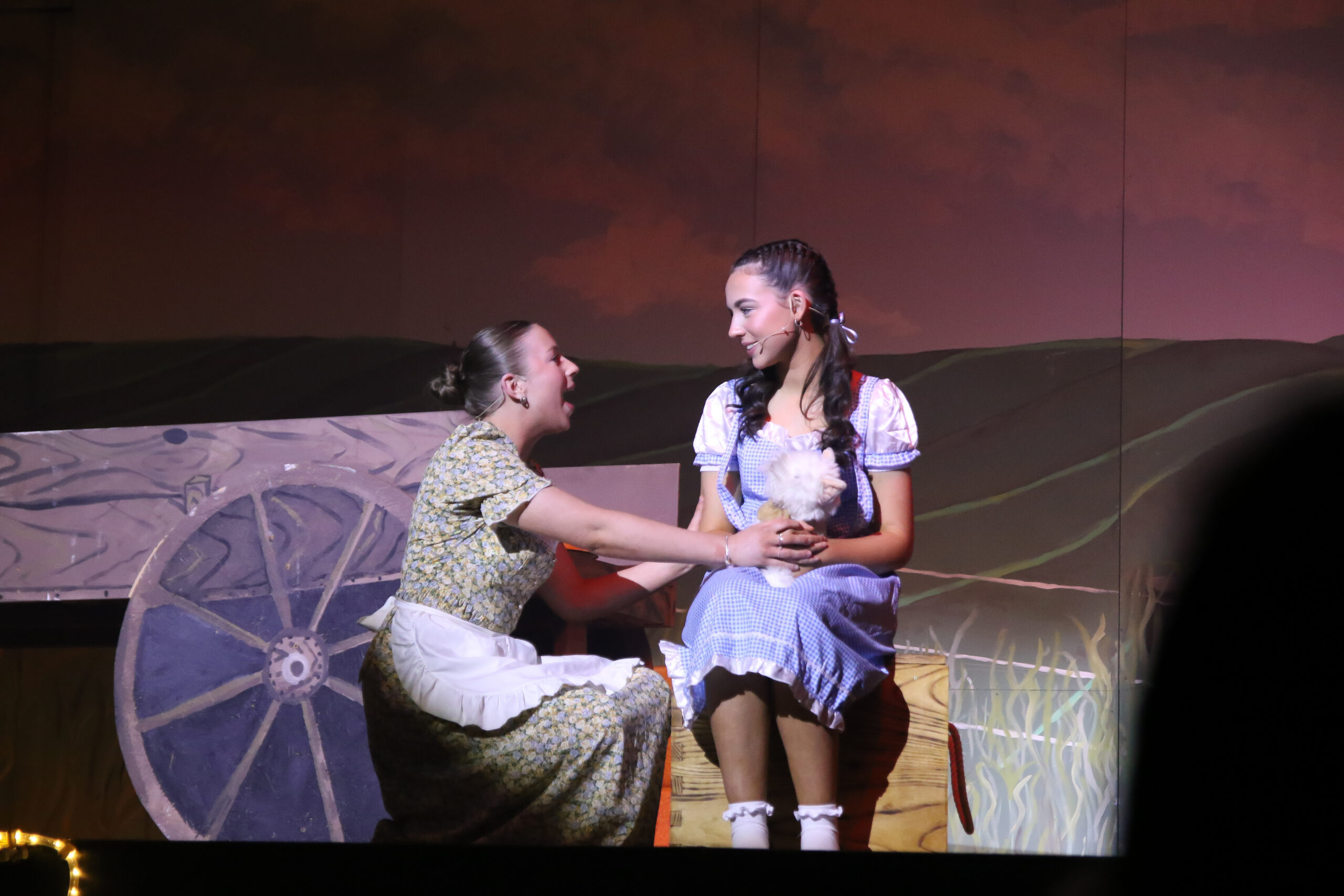 Auntie Em and Dorothy