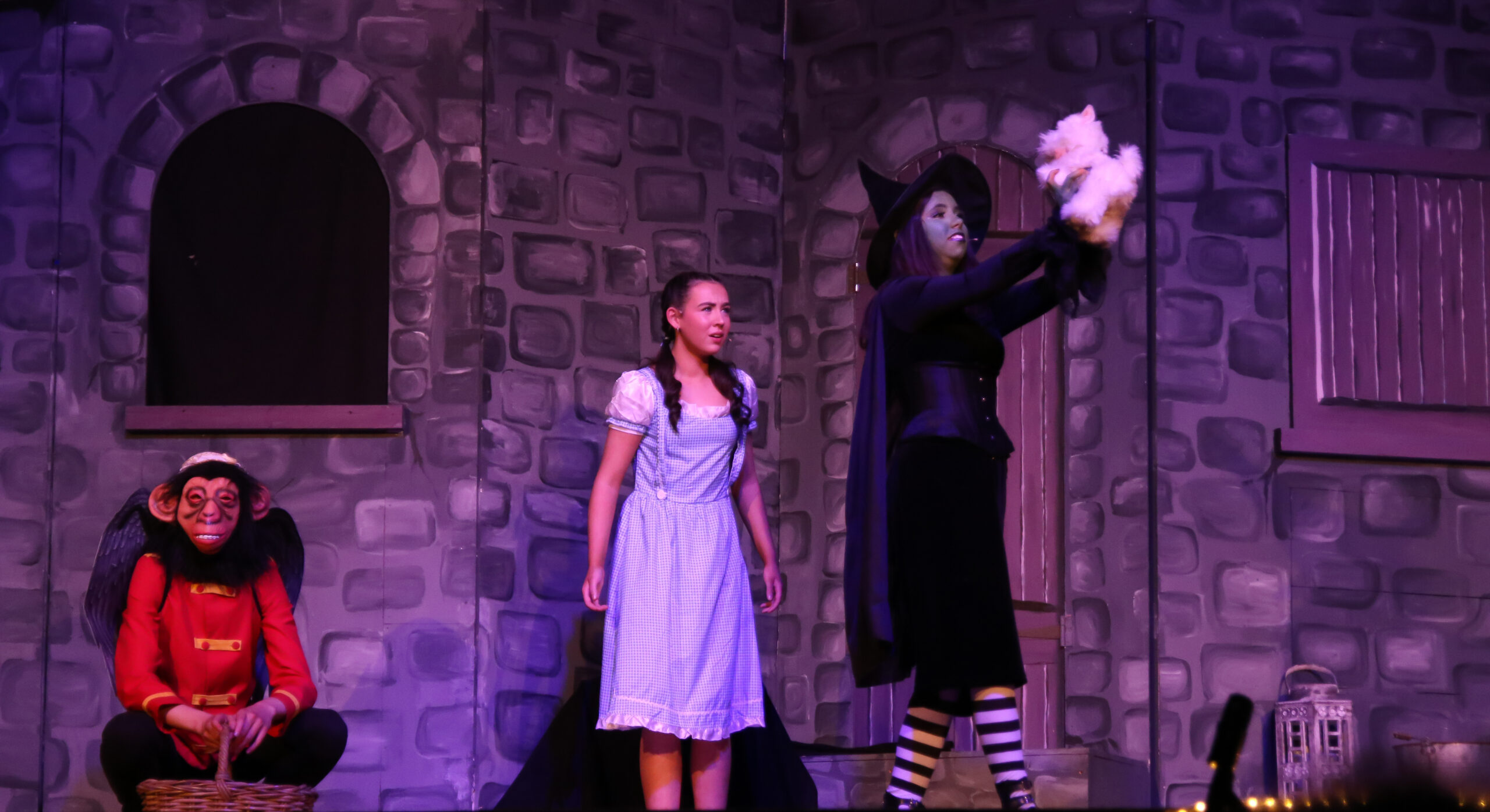Wicked Witch and Toto