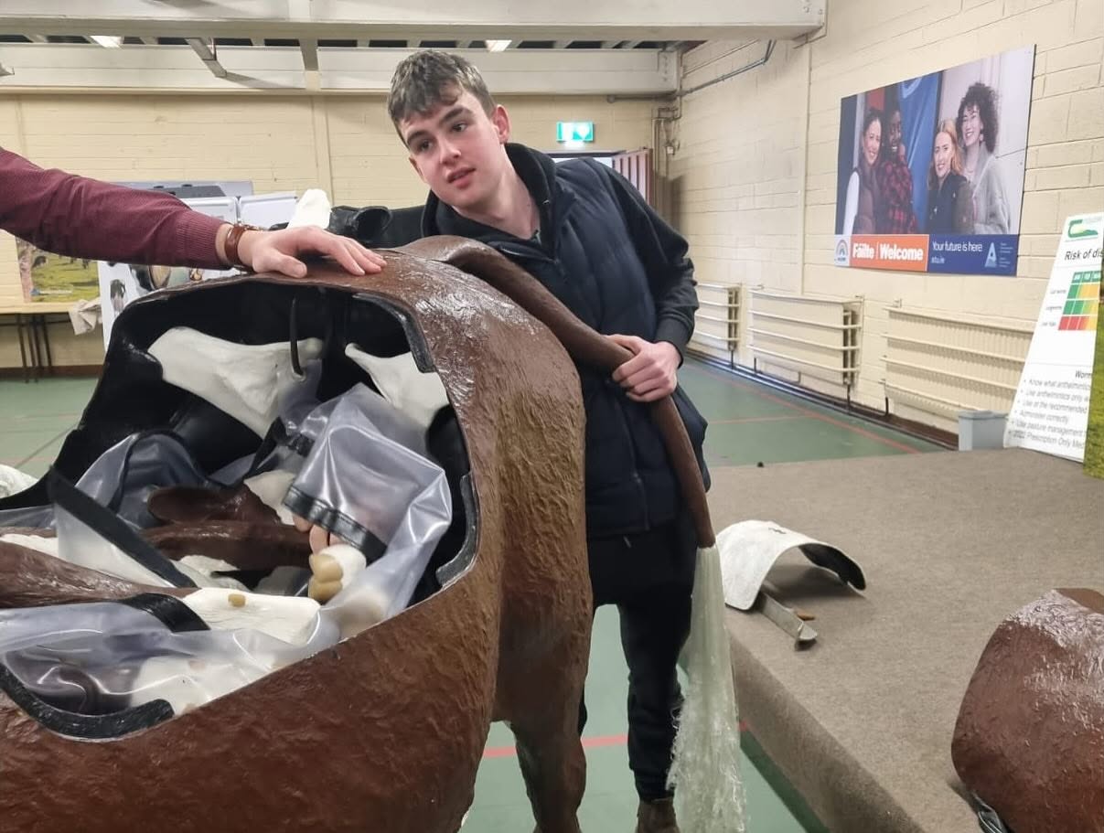 Livestock Anatomy Practical