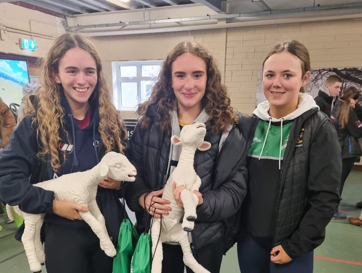 Dairy & Beef Practical Models