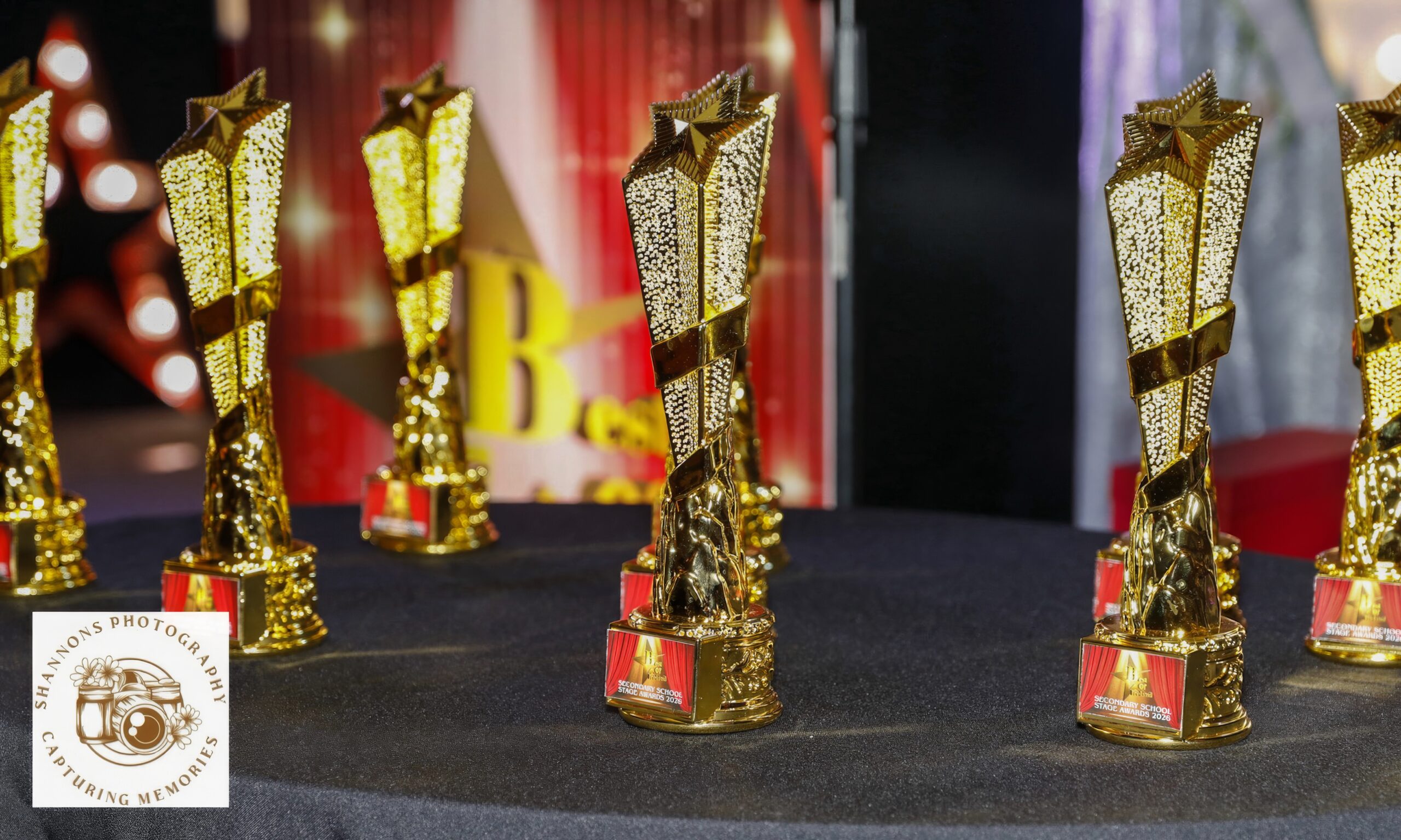 Awards Photo 2