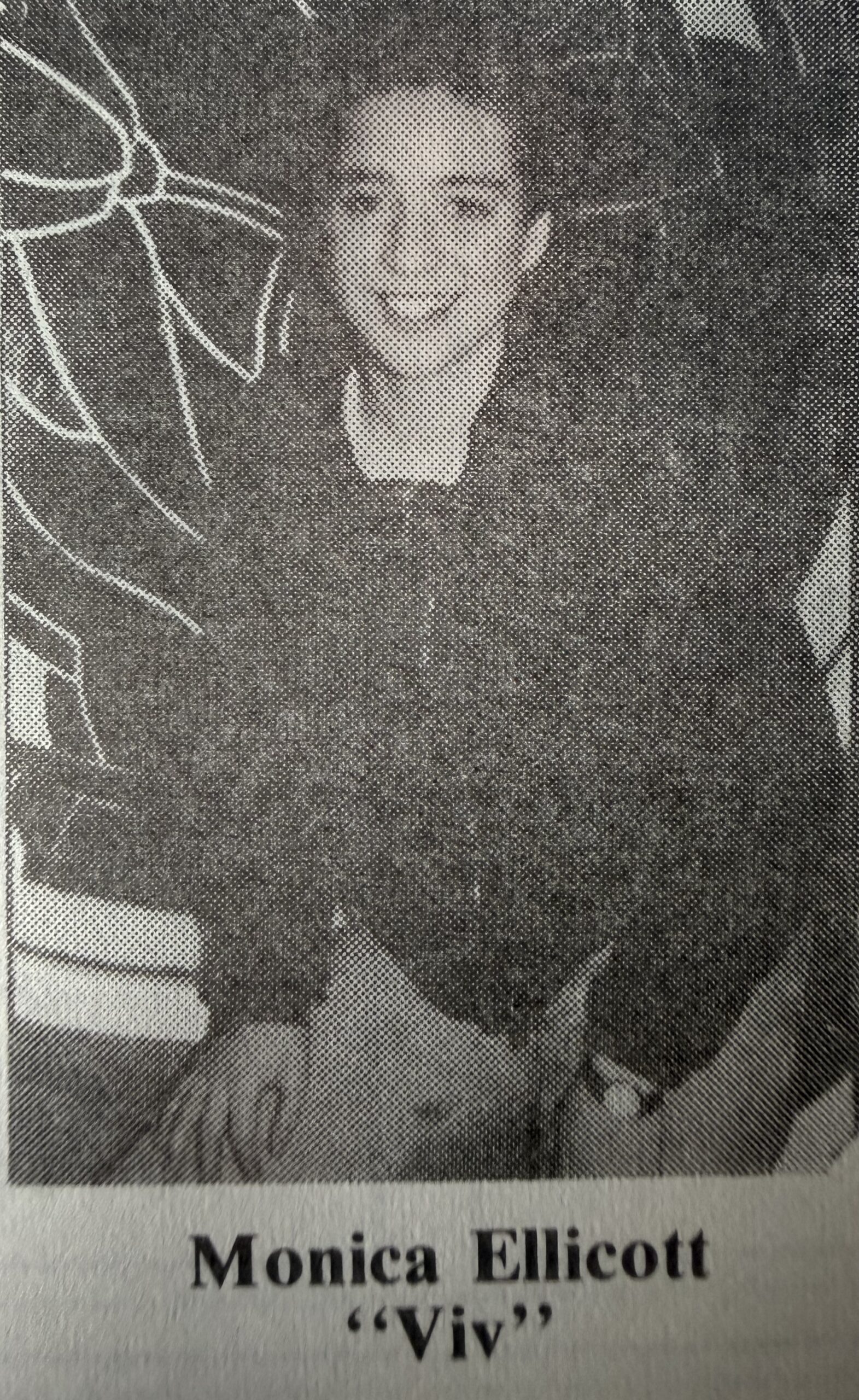 Viv
