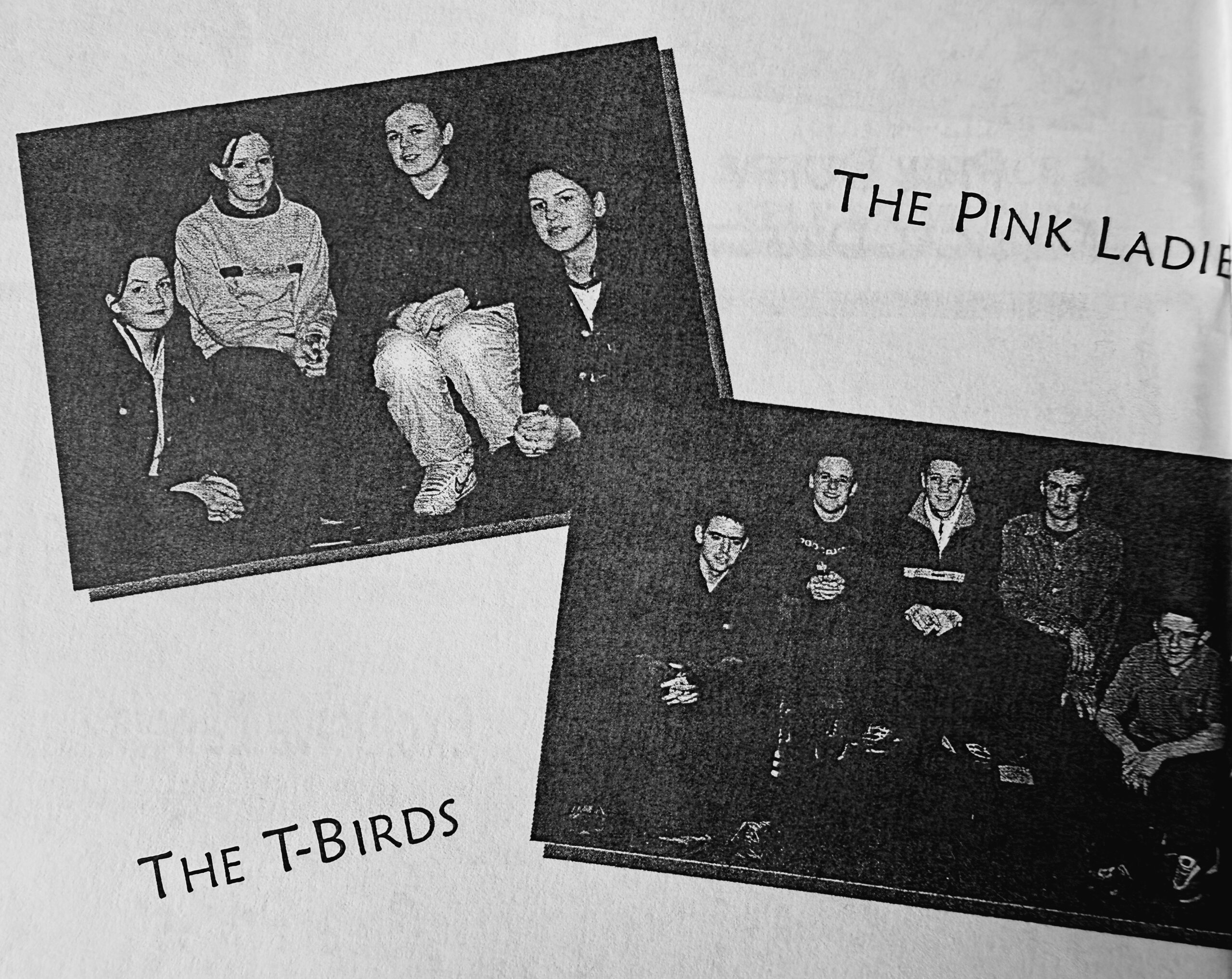 Pink Ladies & T-Birds